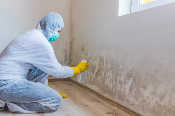 Commercial Mold Remediation assessment for commercial property in Smoketown